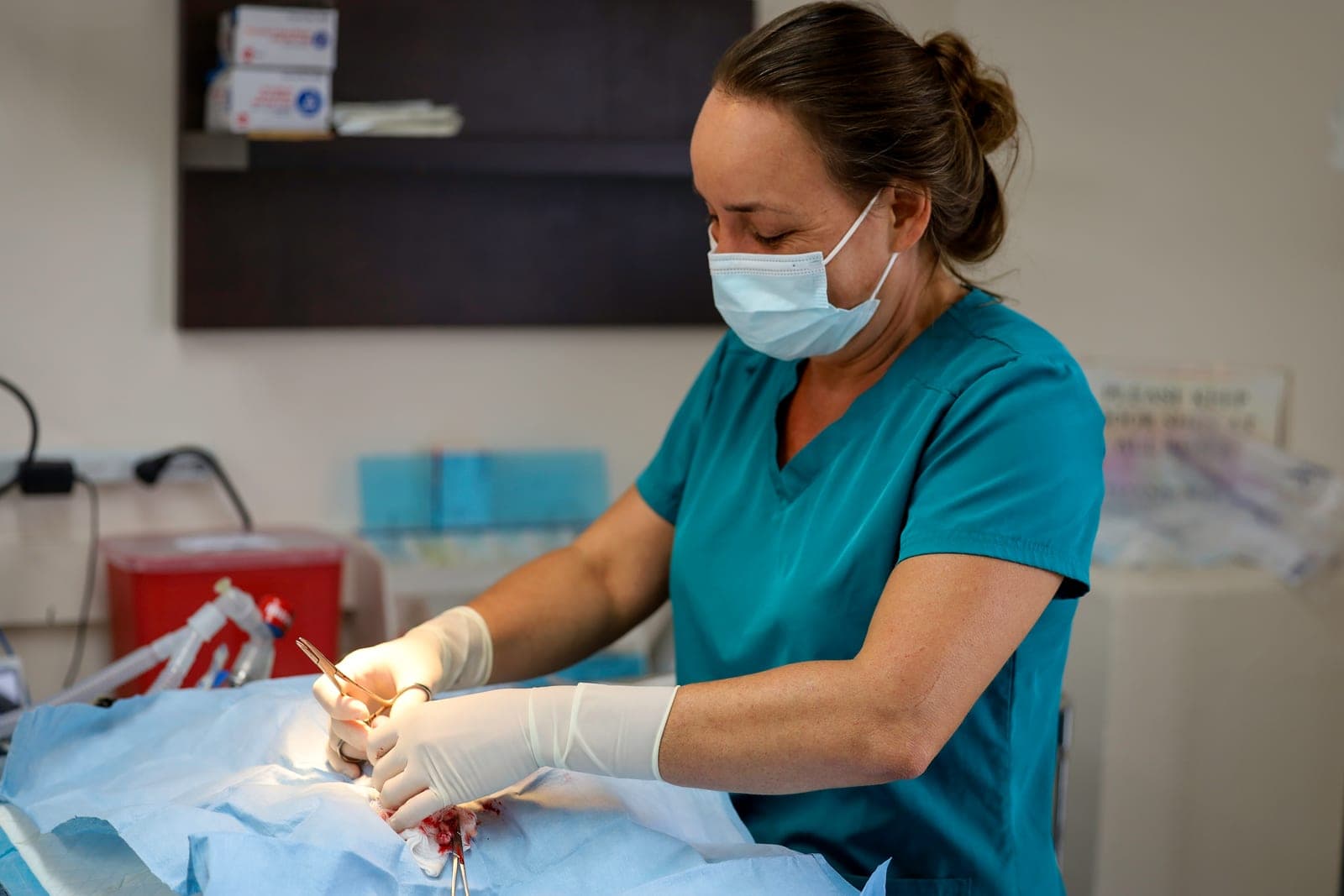 Spay / Neuter Clinic